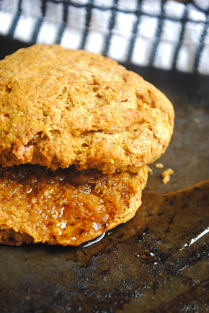 These whole wheat & vegan biscuits are full of delicious pumpkin flavor and warm pumpkin spice! Make them for breakfast or as a side dish for the holidays.