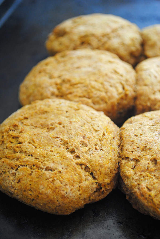 These whole wheat & vegan biscuits are full of delicious pumpkin flavor and warm pumpkin spice! Make them for breakfast or as a side dish for the holidays.