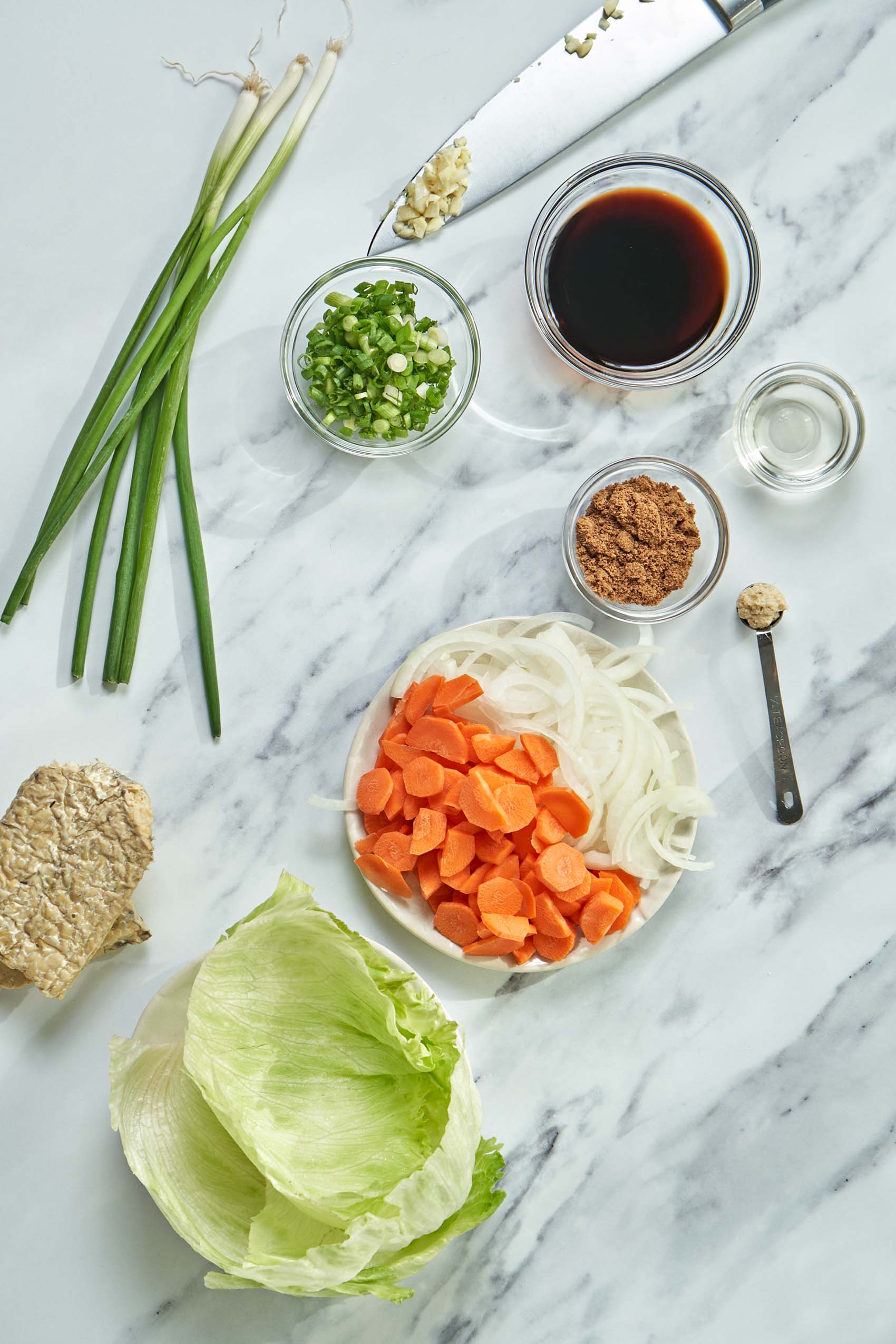 a collection of ingredients including lettuce, a block of tempeh, sliced carrots and onion, green onion, chilis, soy sauce, ginger paste and rice wine vinegar