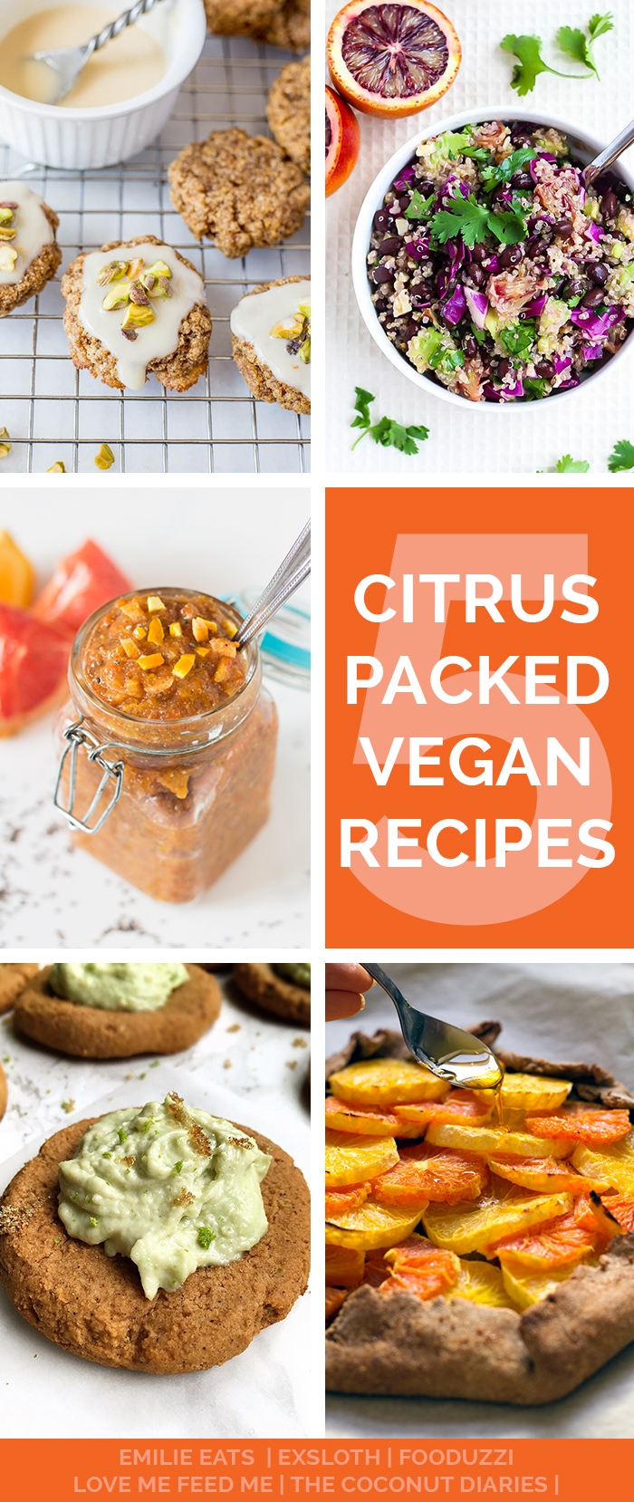 These 5 citrus packed vegan recipes are the perfect way to use up all those fresh citrus fruits this spring!