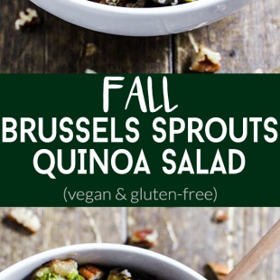 Enjoy the comforting flavors of the season in this Fall Brussels Sprouts Quinoa Salad! It's sweet and salty in a healthy side dish. (vegan & gluten-free)