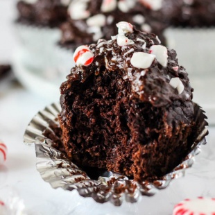 a chocolate cupcake with a bite taken out of it