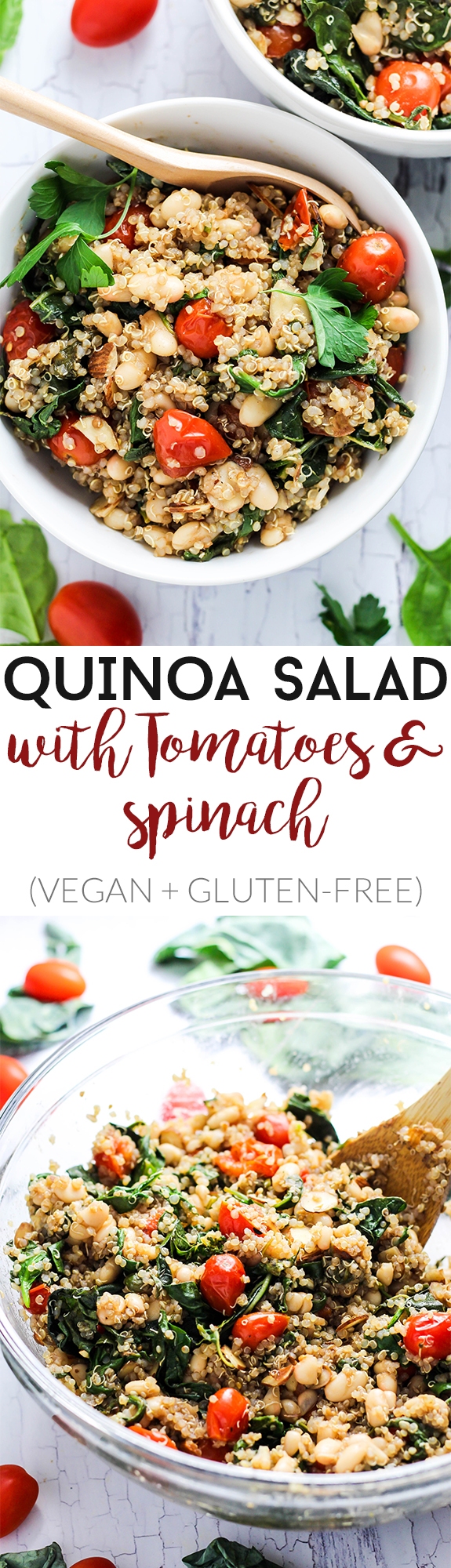 Complete your dinner with this Easy Quinoa Salad with Tomatoes & Spinach as a healthy side dish! It's vegan, gluten-free, and also makes a great lunch.