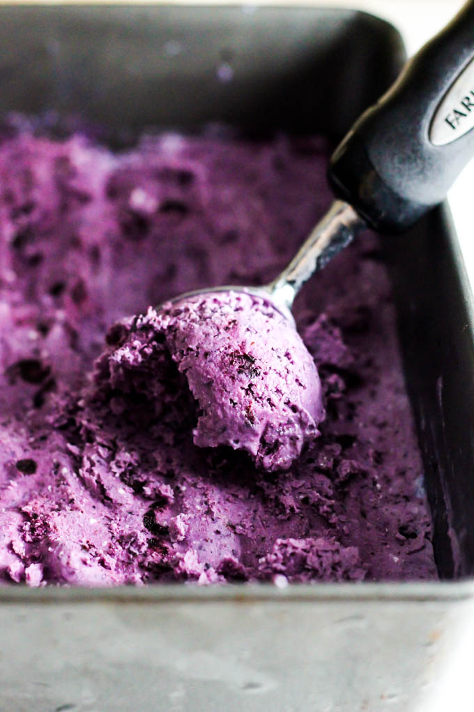Cool off with a scoop of this refreshing Blueberry Vegan Frozen Yogurt! It's the perfect fruity dessert, plus you could even enjoy it for breakfast. Yum!