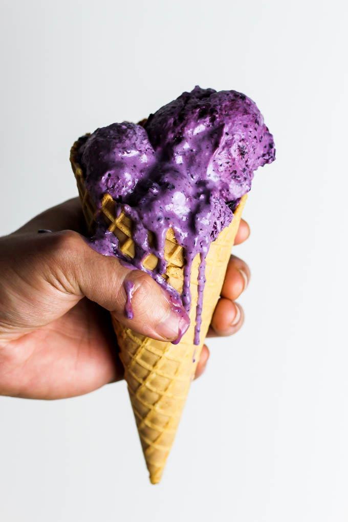 Cool off with a scoop of this refreshing Blueberry Vegan Frozen Yogurt! It's the perfect fruity dessert, plus you could even enjoy it for breakfast. Yum!