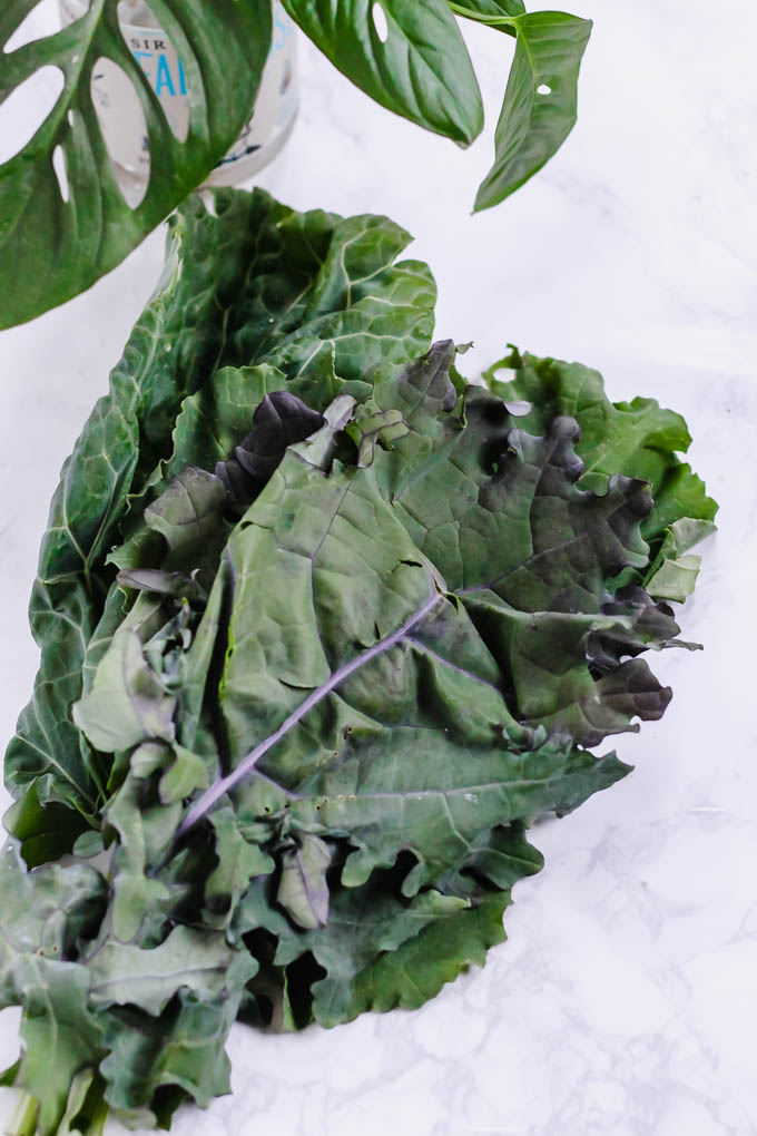 two large leaves of kale