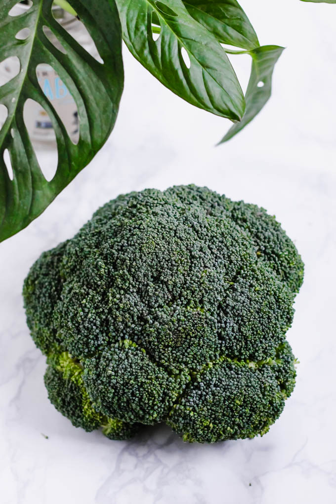 a head of fresh broccoli