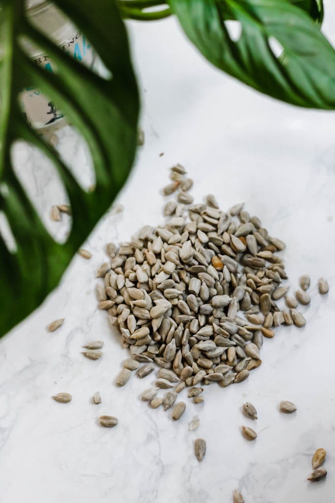 a pile of raw sunflower seeds