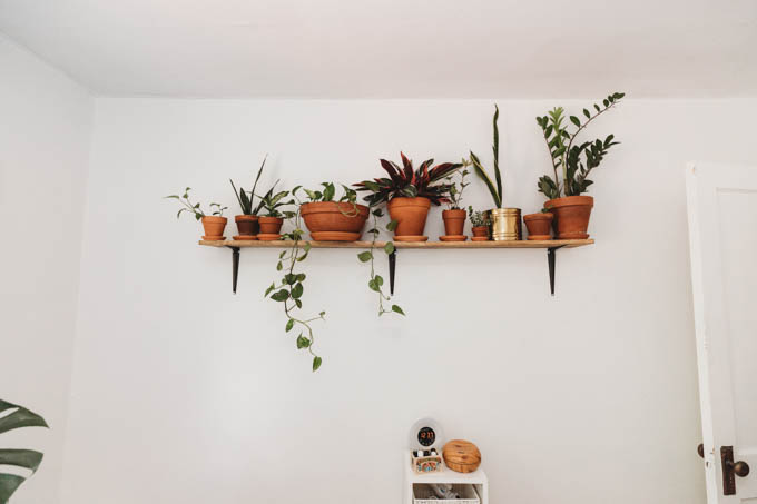 Today I’m starting my apartment makeover reveal with my bedroom! From basic beige to bright and full of plants, this room inspires me when I wake up and go to sleep.