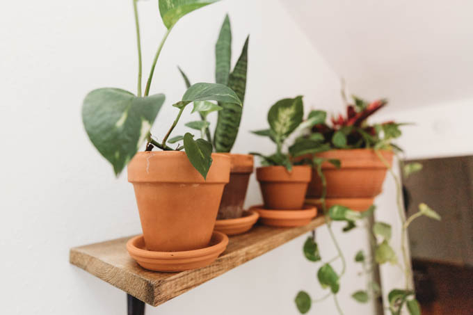 Today I’m starting my apartment makeover reveal with my bedroom! From basic beige to bright and full of plants, this room inspires me when I wake up and go to sleep.