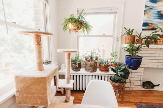 Check out my renter-friendly, affordable apartment makeover—from basic and beige to a bright, boho, modern space full of plants and DIYs! 