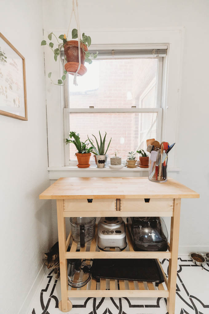 Check out my renter-friendly, affordable apartment makeover—from basic and beige to a bright, boho, modern space full of plants and DIYs! 