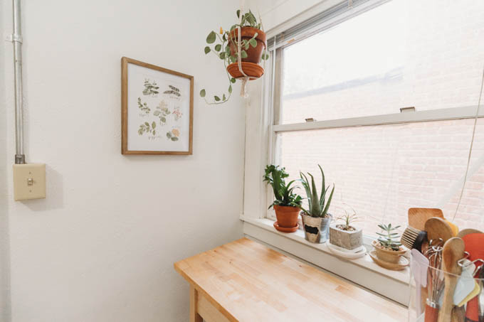 Check out my renter-friendly, affordable apartment makeover—from basic and beige to a bright, boho, modern space full of plants and DIYs! 
