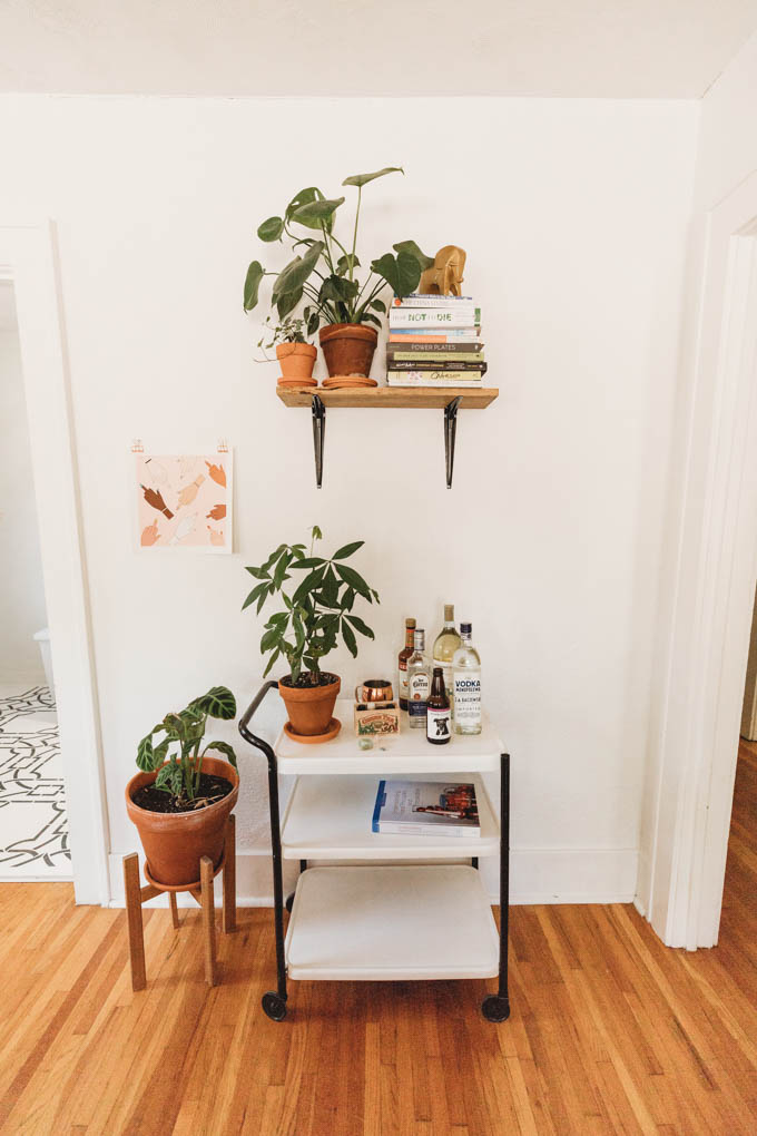 Check out my renter-friendly, affordable apartment makeover—from basic and beige to a bright, boho, modern space full of plants and DIYs! 