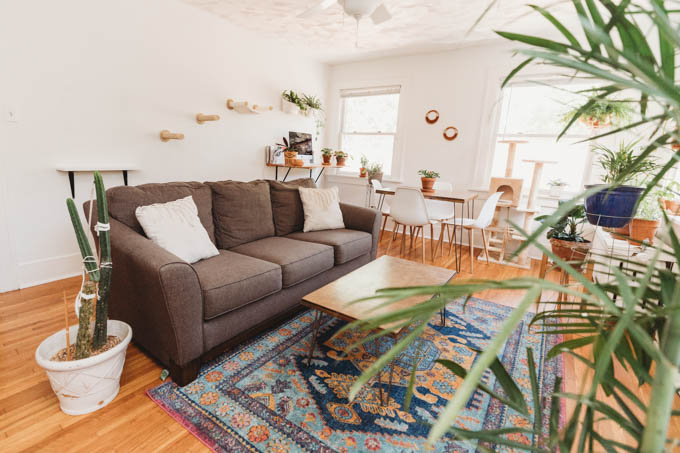 Check out my renter-friendly, affordable apartment makeover—from basic and beige to a bright, boho, modern space full of plants and DIYs! 