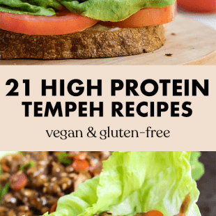 21 Delicious Vegan Tempeh Recipes – Emilie Eats