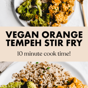 21 Delicious Vegan Tempeh Recipes – Emilie Eats