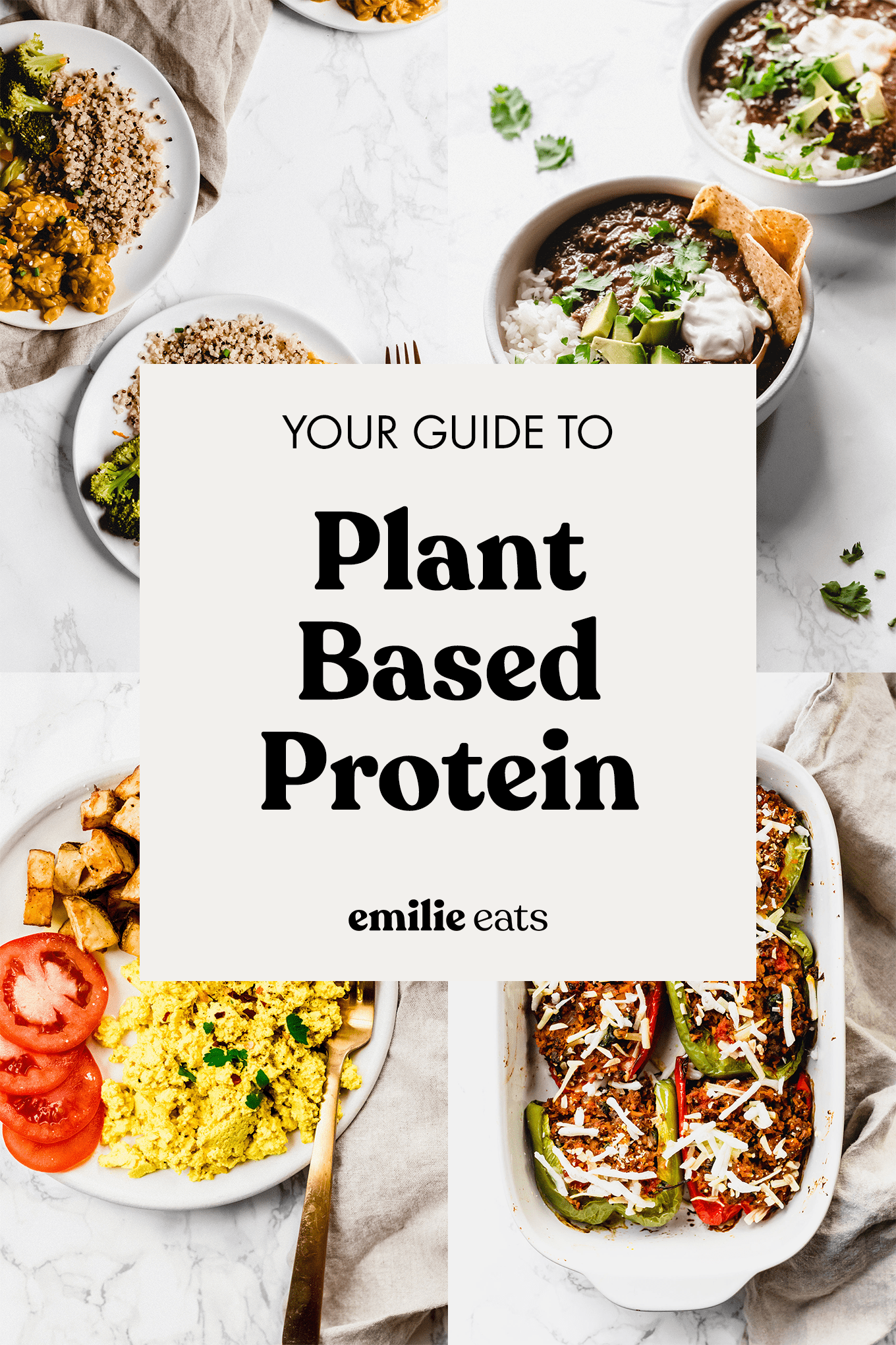 Plant-Based Protein: A Complete Guide